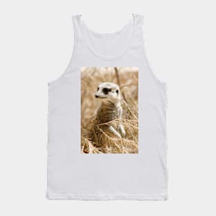 Meerkat, suricata suricata Tank Top